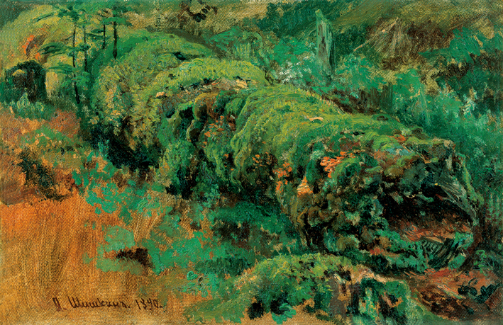  伊凡·伊凡诺维奇·希施金 Ivan I. Shishkin —— Ivan Shishkin-005